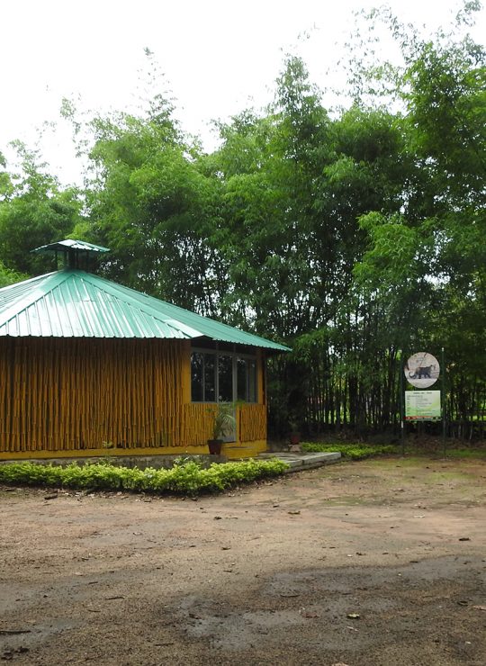 flying squirrel eco tourism Kevdi chhotaudepur 