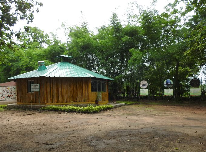 flying squirrel eco tourism Kevdi chhotaudepur 